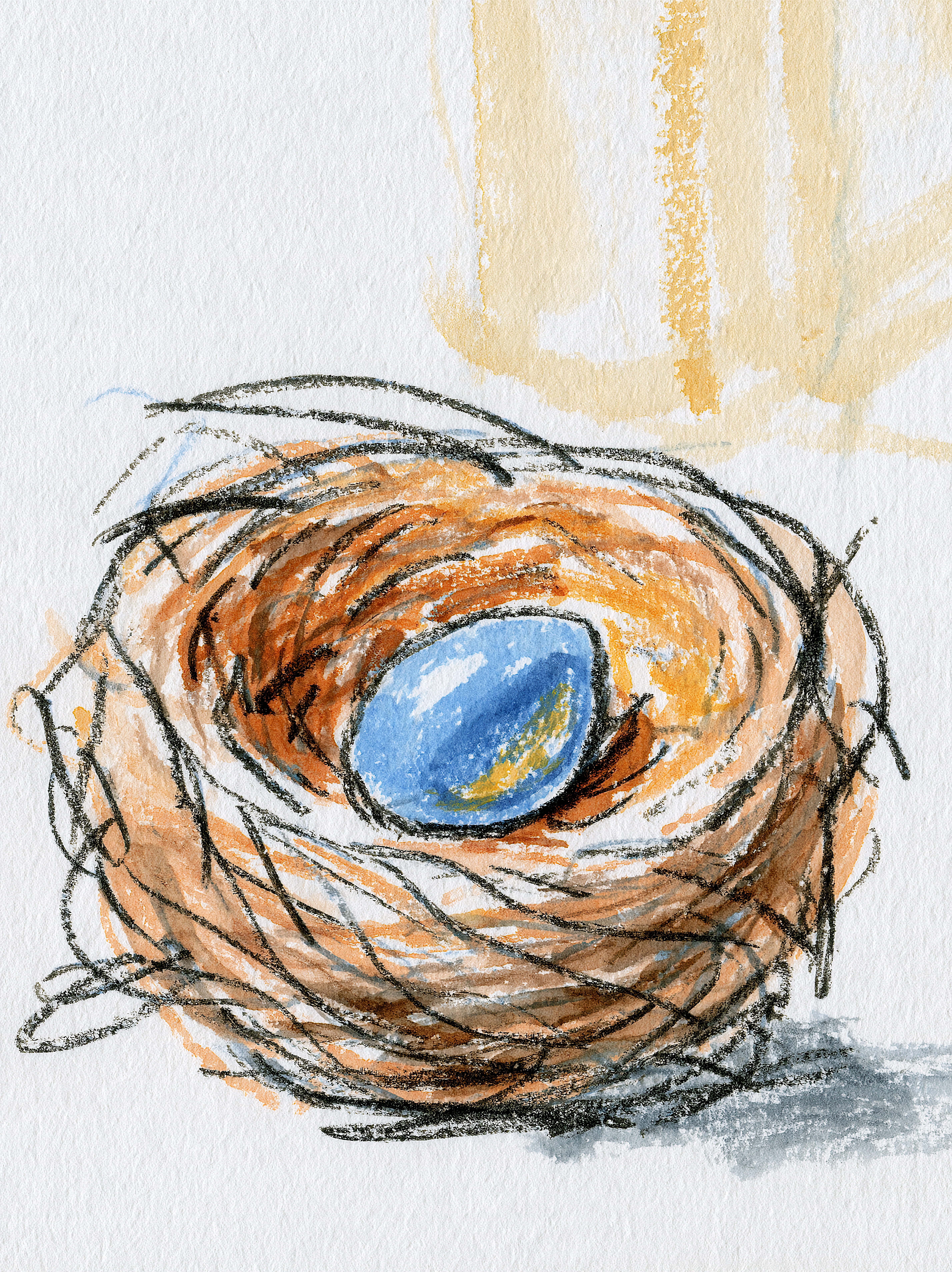 A watercolor and charcoal illustration of a brown bird’s nest holding a single blue egg beneath a wash of yellow light.