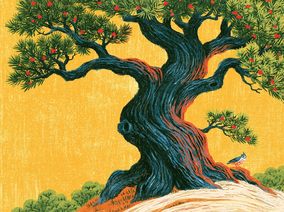 A richly illustrated juniper tree with a twisting blue-green trunk, red berries, and a small bird beside its roots against a golden yellow background.