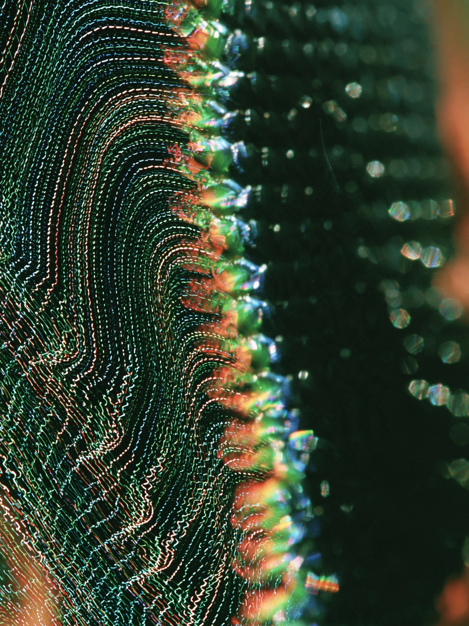 A close-up photograph of a spiderweb catching rainbow-coloured light against a dark green background.