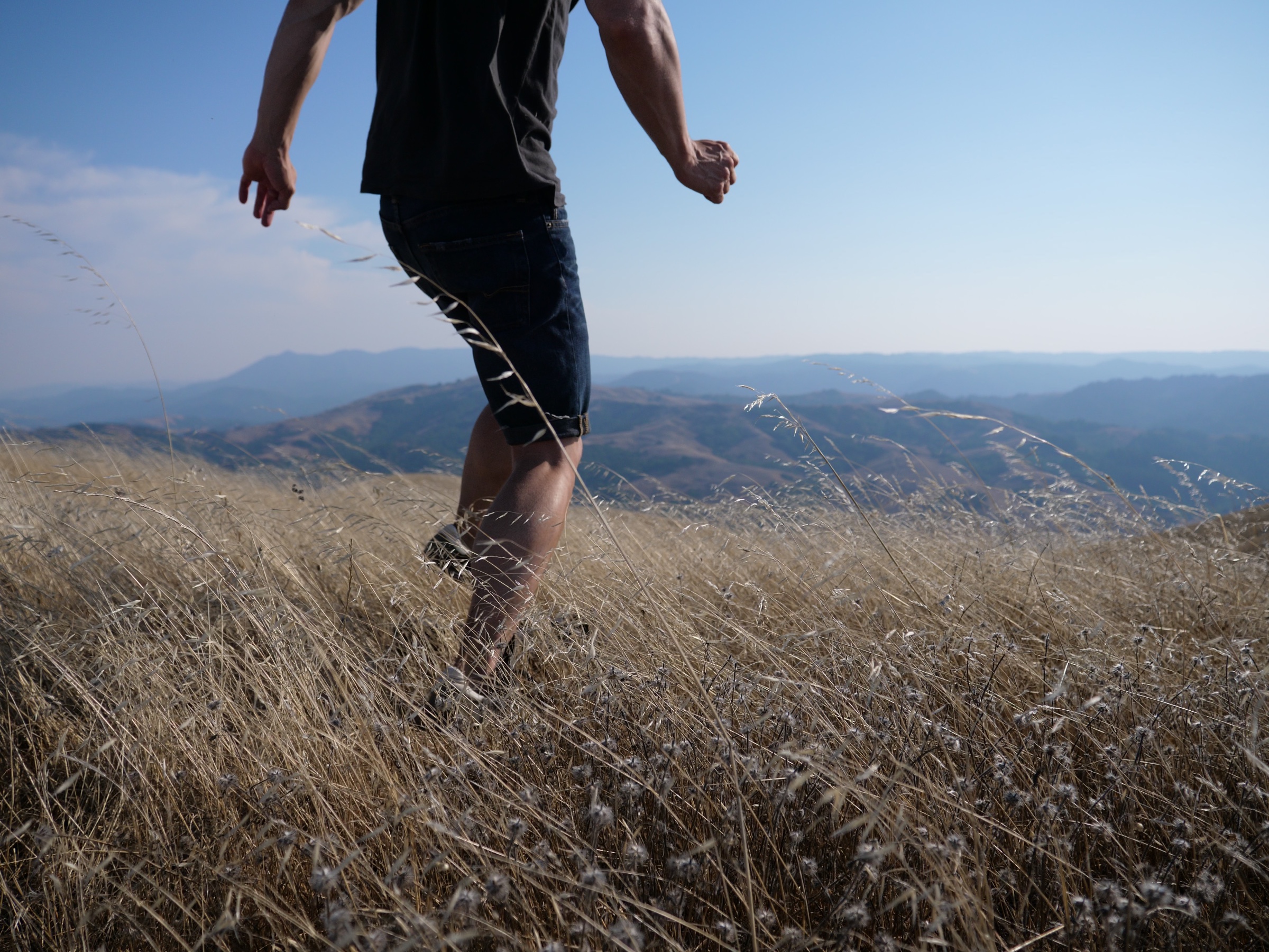 A self-portrait mid-stride on a sunlit hillside at Lucas Valley Preserve. Framed from the shoulders down, in a black shirt and dark shorts, moving through tall, wind-stirred golden grass, with layered ridgelines fading into the distance beneath a wide blue sky.