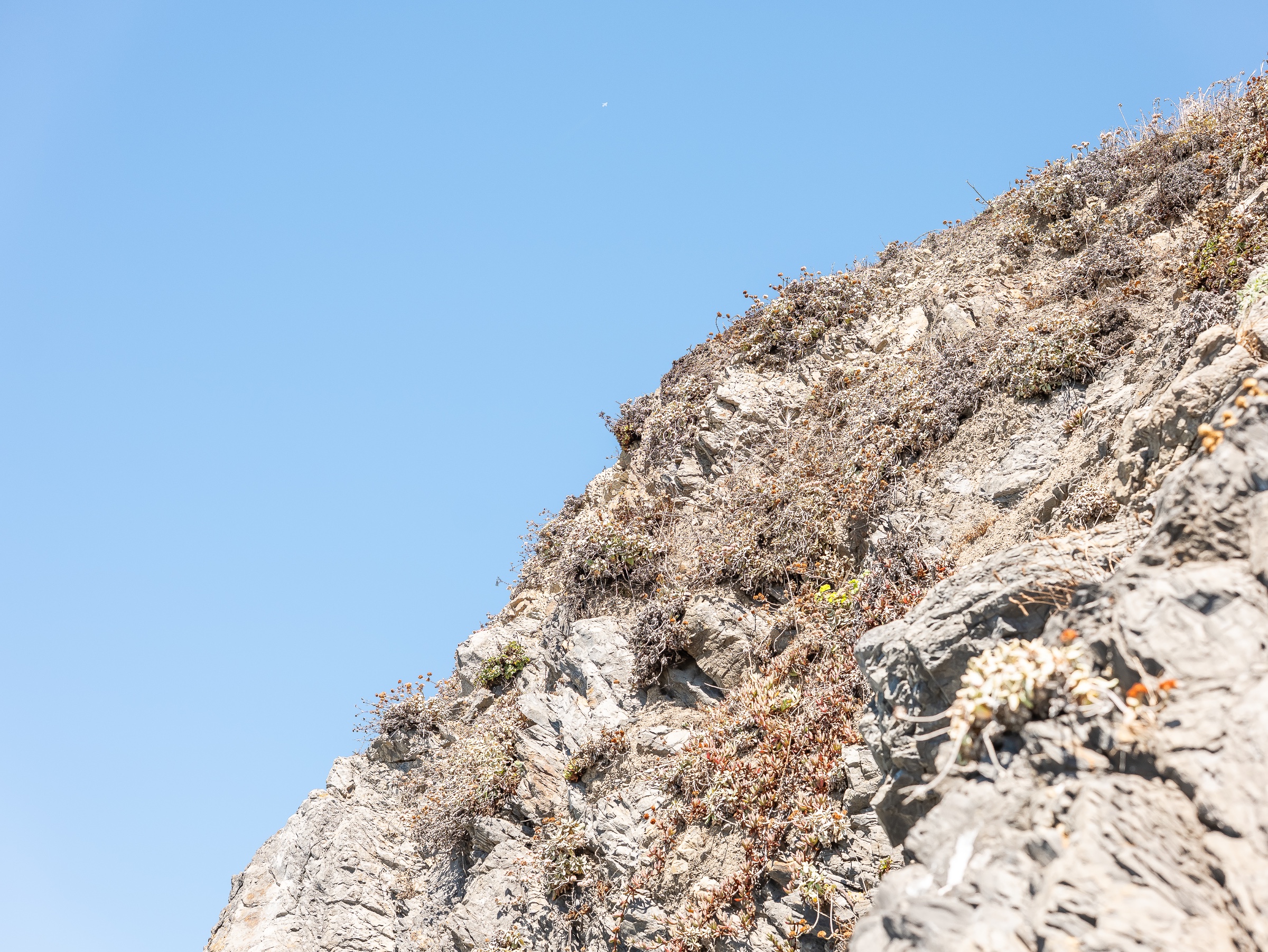 A steep coastal bluff fills the right side of the frame, its pale, fractured stone dotted with hardy succulents and dry vegetation. The low angle emphasizes the cliff’s rugged texture and upward sweep against a vast, cloudless sky.