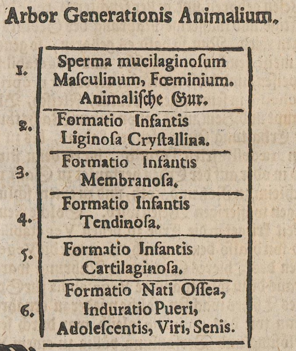 Tree of animal generation. Original printed page 115; its six stages are translated in the preceding passage.