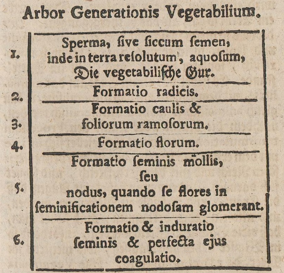 Tree of vegetable generation. Original printed page 123; its six stages are translated in the preceding passage.