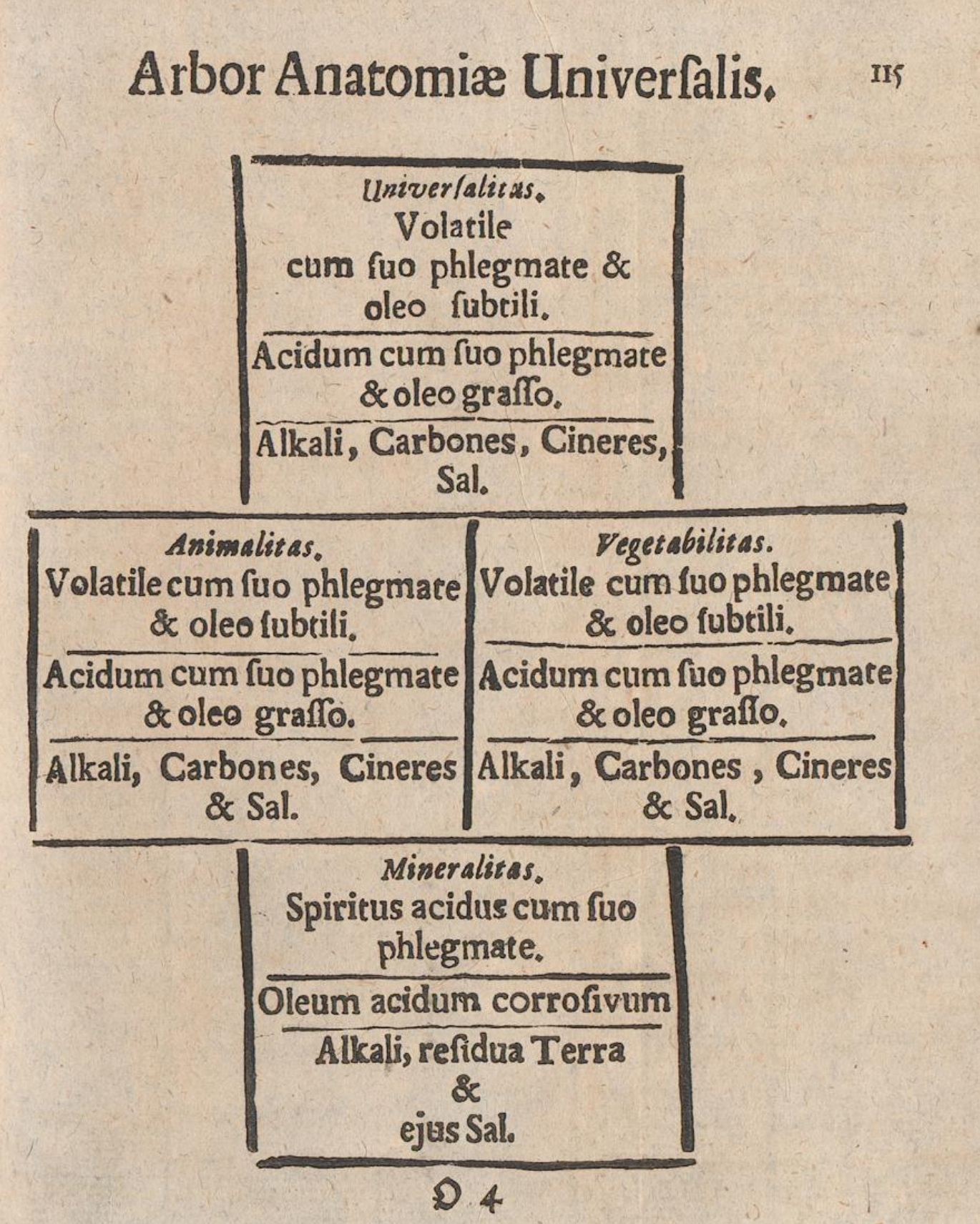 Tree of universal anatomy. Original logical page 215, misprinted 115; the preceding passage translates the full diagram.