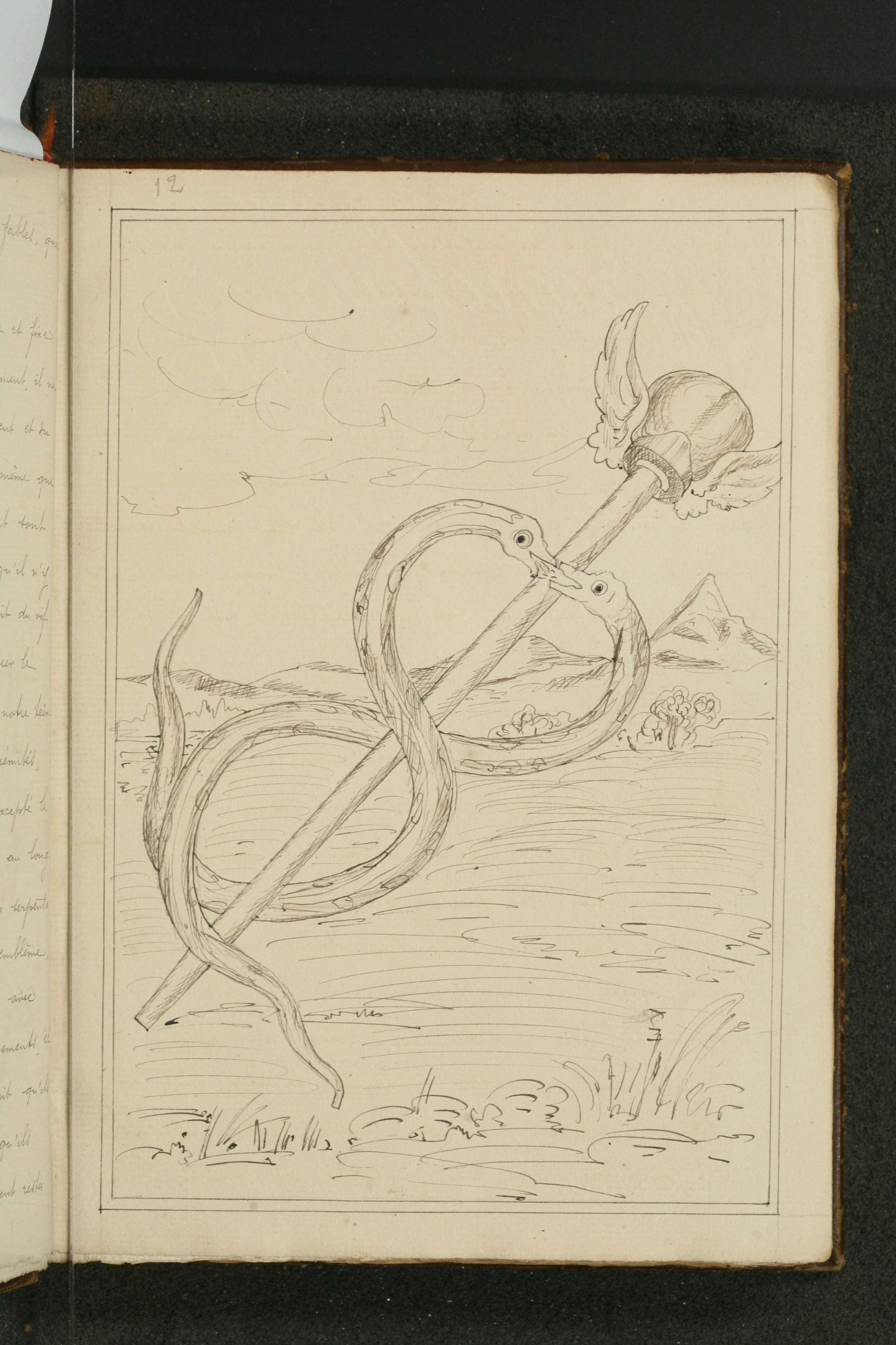 The Caduceus