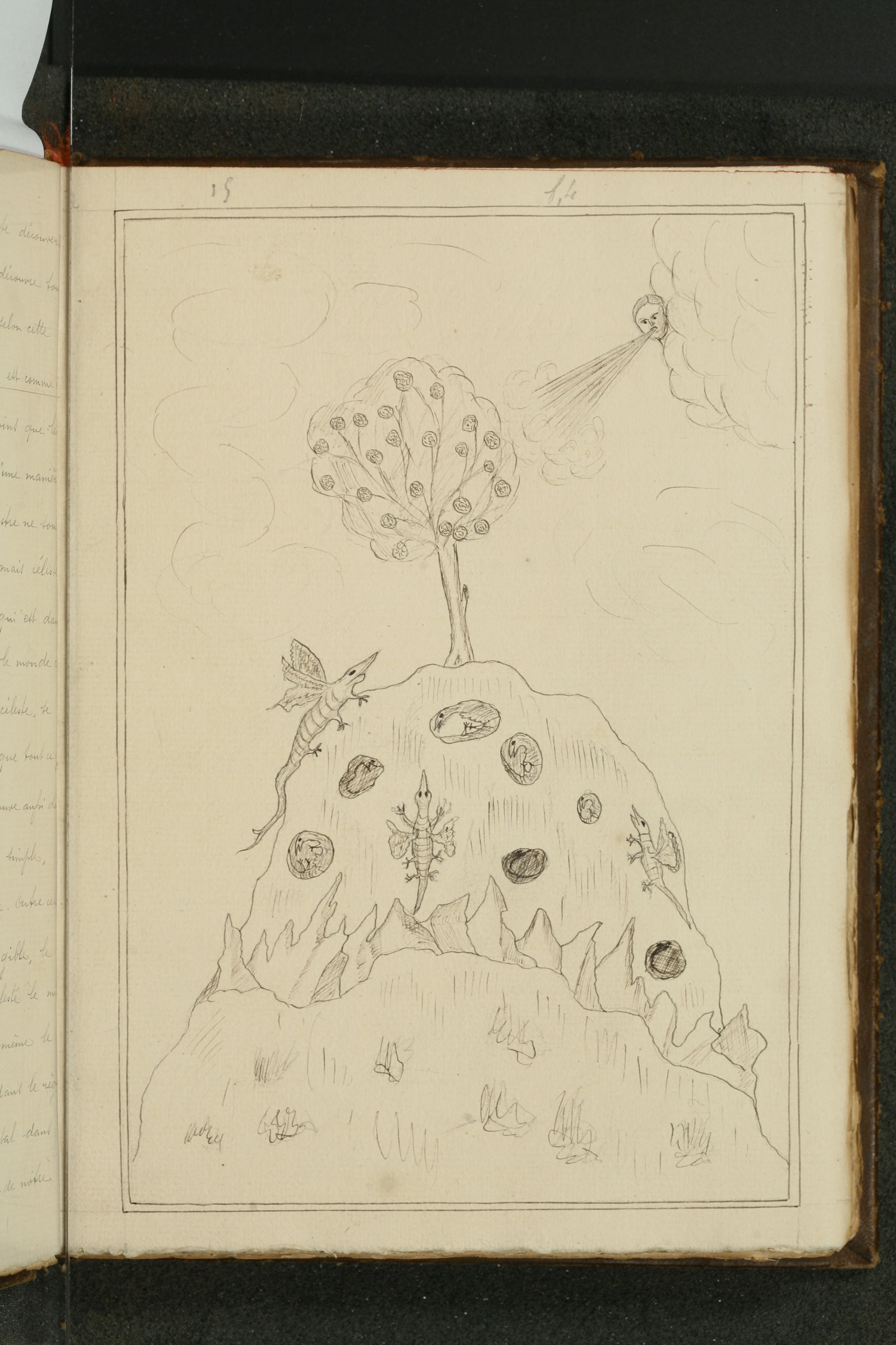 The Flower upon the Mountain